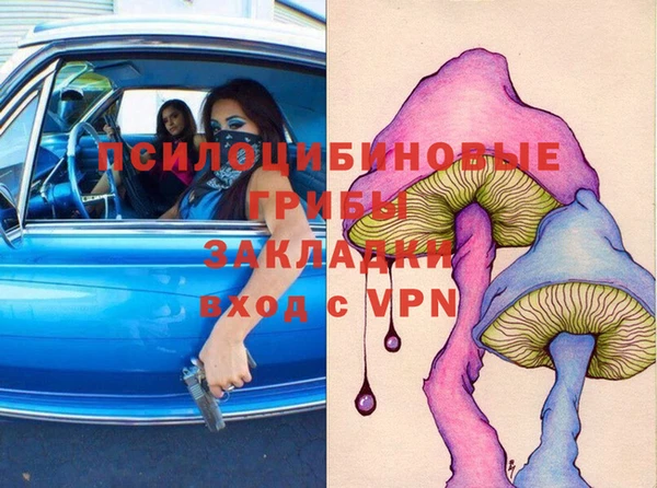 кокс Алексин