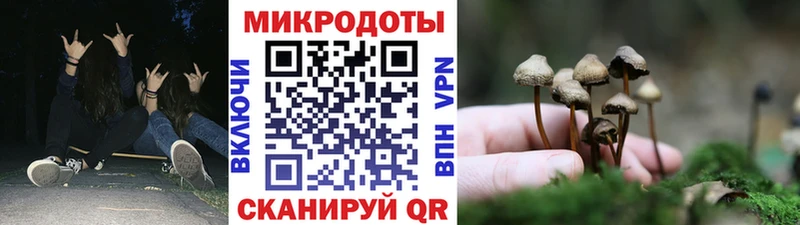 Галлюциногенные грибы Cubensis  Осинники 